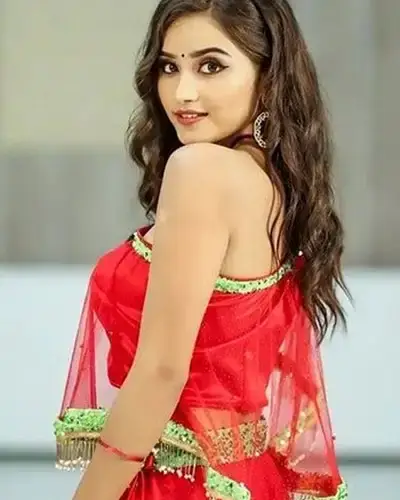 Call Girls Service Janjgir